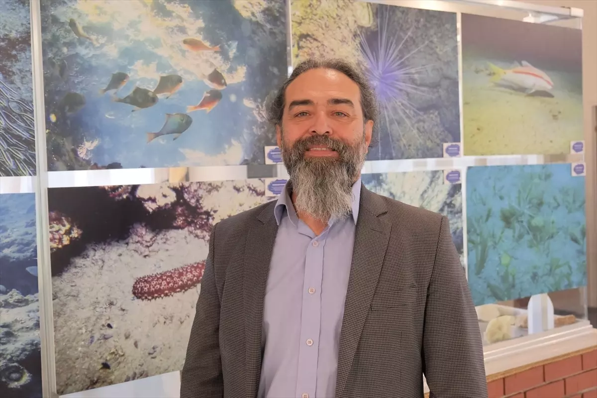 Mersin’de Nadir Yakalanan 25 Kilogramlık Siyah Dümen Balığı