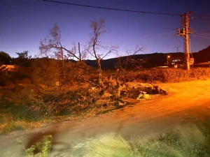 Mersin’de Şiddetli Rüzgar Zarara Yol Açtı