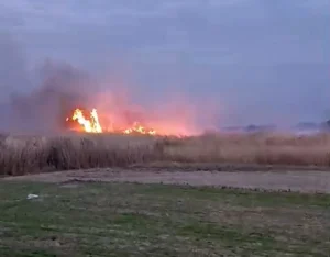Milleyha Kuş Cenneti’nde Yangın Kontrol Altına Alındı
