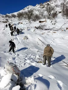 O kentimiz çığ altında kaldı! 8 ev zarar gördü