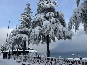 Ordu’da Kar Yağışı Nedeniyle Eğitime Ara