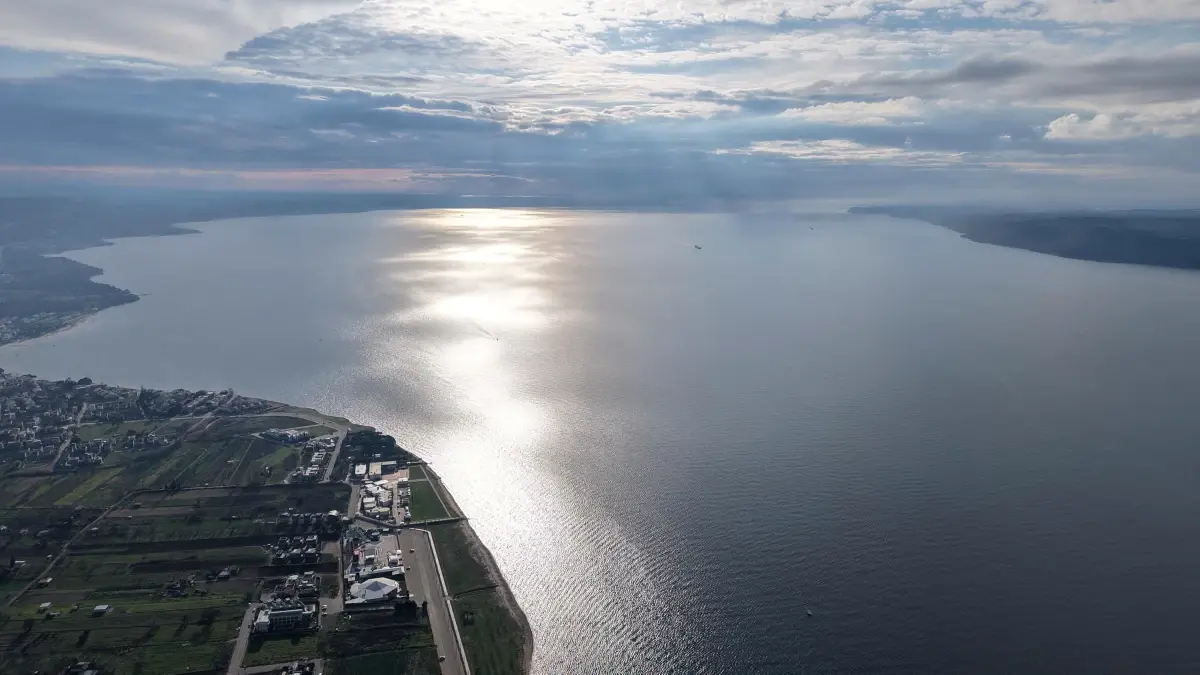 Pinna Nobilis’in Korunması İçin Çalışmalar Başladı