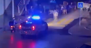 Polislerin anonsu sosyal medyanın diline düştü