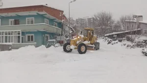 Posof’ta Kar Yağışı: Taşımalı Eğitime Ara Verildi