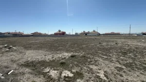 Rana’nın köpek saldırısında ölümüne ilişkin 2 belediye yetkilisi hakkında soruşturma izni