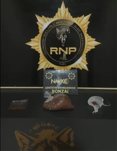 Rize’de Uyuşturucu Operasyonu: 8 Tutuklama