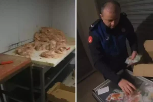 Ruhsatsız Tavuk Tesisi Mühürlendi