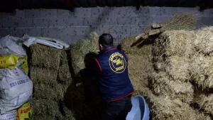 Rüşvet Operasyonunda 4 Gözaltı