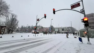 Sakarya Yeni Yıla Karla Girdi