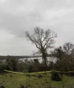 Sakarya’da Kayıp Gencin Cesedi Bulundu