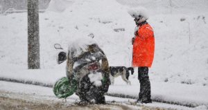 Sakarya’da motokuryelerin trafiğe çıkması yasaklandı
