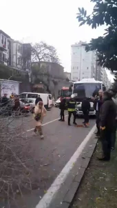 Samsun’da Fırtına Ağaçları Devrildi