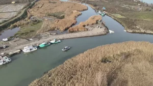 Samsun’da Kaçak Kum Şırlanı Avcılığına Ceza