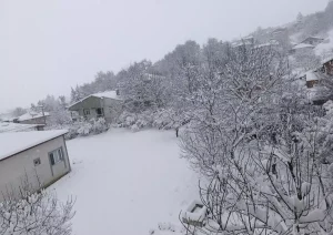 Samsun’da Kar Yağışı Ulaşımı Aksattı