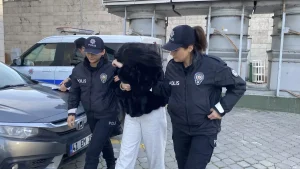 Sanal Medya Provokatörü Kadın Gözaltında