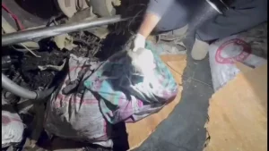 Sapanca’da Uyuşturucu Operasyonu: 6 Gözaltı