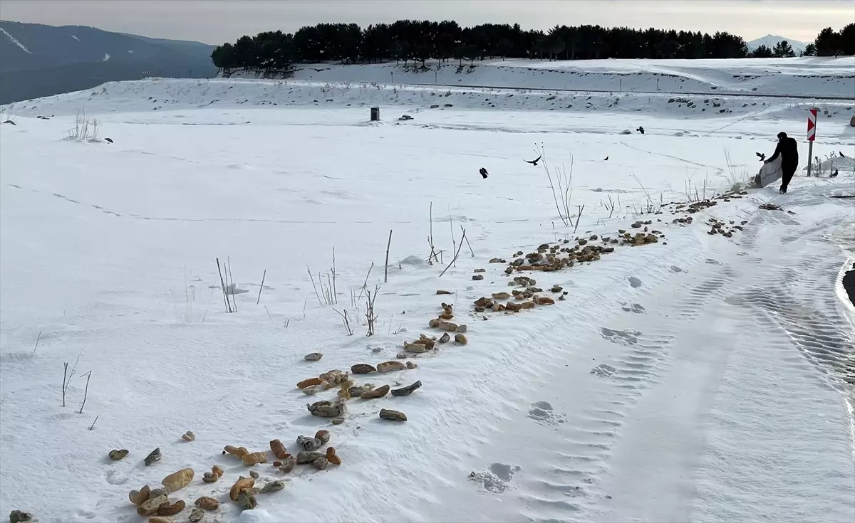 Sarıkamış’ta Doğaya Yiyecek Bırakıldı