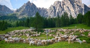 Şaşırtan keşif: Ömrü yüzde 10 uzatıyor