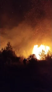 Serik’te Orman Yangını