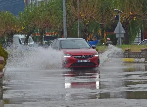 Şiddetli Yağış ve Fırtına Ağaçları Deviriyor
