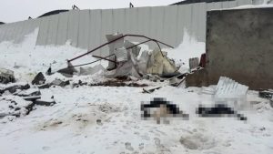 Siirt’te kar felaketi: Ahırlar çöktü