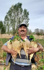 Sinanpaşa’da Tabanca ile Cinayet