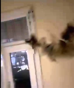 Şırnak’ta Yıldırım Düşen Apartmanda Hasar Oluştu