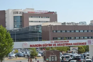 Sokak Köpekleri 4 Yaşındaki Kızı Ağır Yaraladı