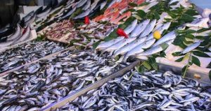 Somon ve uskumrudan hem daha ucuz hem daha sağlıklı balık