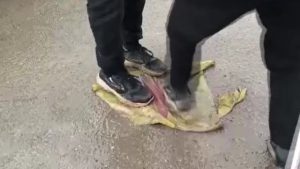 Suriye’nin Tabka kentinde teröristlerin afişleri parçalandı