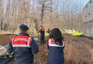 Taraklı’da Tavuk Çiftliğine Biyogüvenlik Kısıtlaması