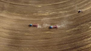 Tarım sayımı sonuçları yılın ikinci yarısında açıklanacak