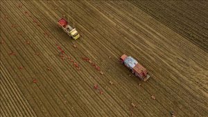 Tarım üreticilerin fiyatları yılda yüzde 36,01 arttı