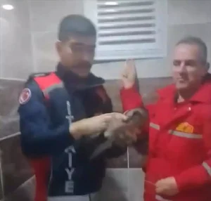 Taşova’da Karga Kurtarıldı