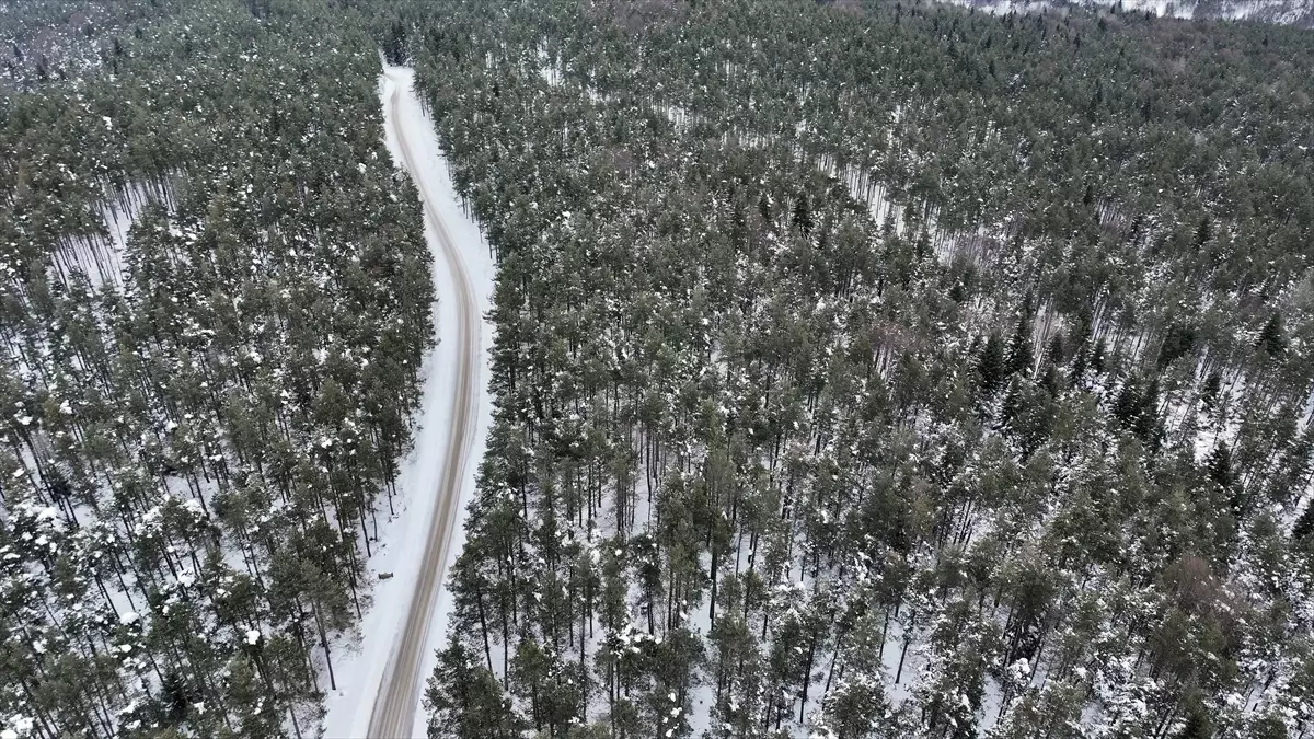 Topuk Yaylası Buzla Kaplandı
