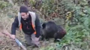 Trabzon’da avcının domuzla mücadelesi