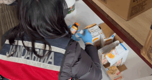 Tunceli’de uyuşturucu operasyonunda 1 şüpheli tutuklandı