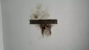 Turgutlu’da Yıldırım Düşmesi: 3 Ev Zarar Gördü