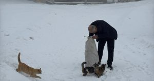 Türkiye’nin bu köyünde kışın sadece bir aile yaşıyor