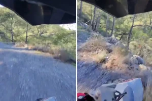 Uçuruma yuvarlanırken tek bir kelime haykırdı