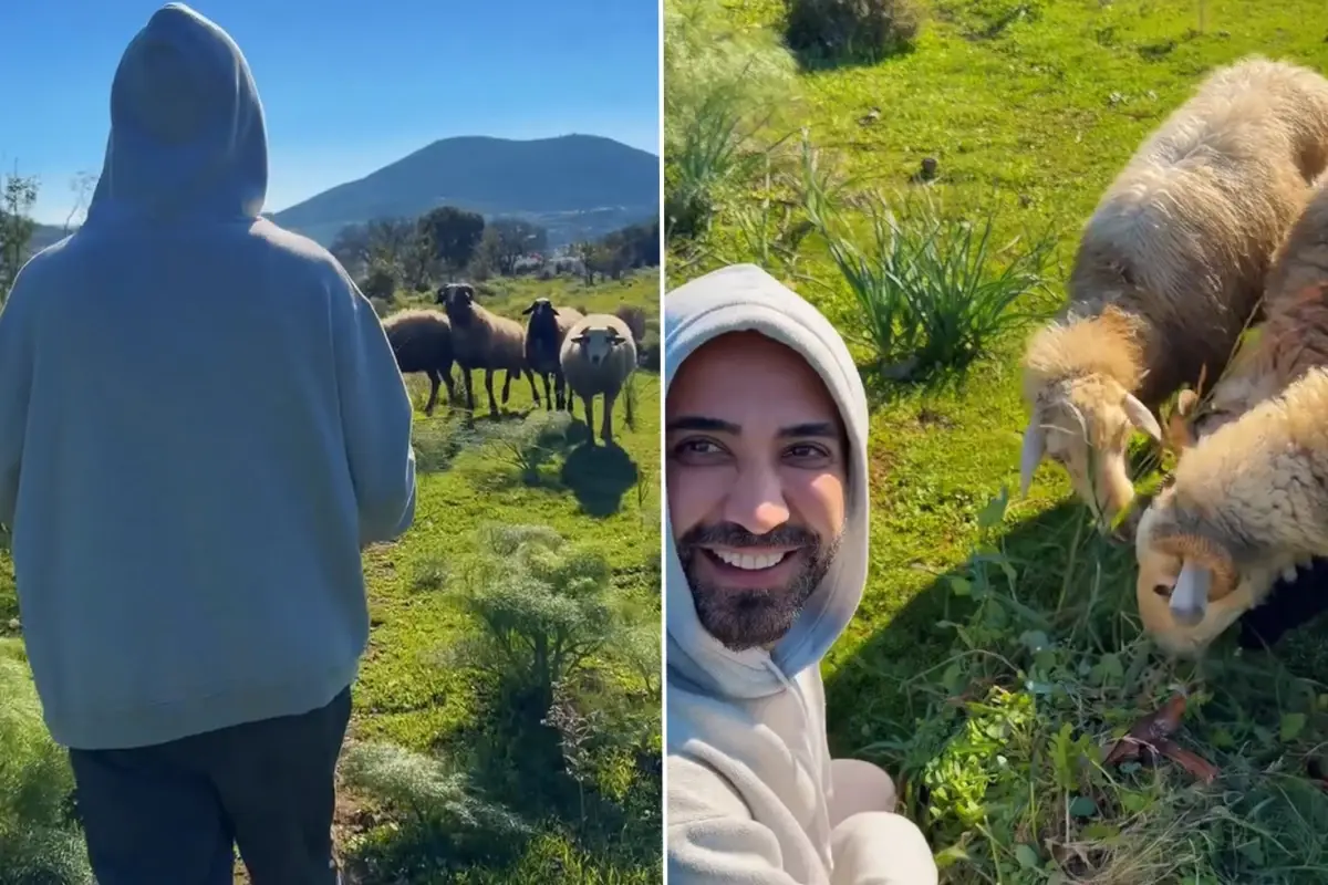 Ünlü şarkıcı Tan koyunları besledi, vegan olun mesajı verdi