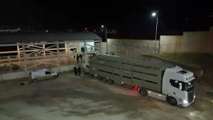 Uyuşturucu Serüveni: Hayvanlarda 54,6 Kilogram Metamfetamin