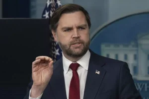 Vance: Grönland’ın Güvenliği Ciddiye Alınmalı