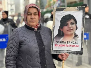 Van’da Ailelerin Umut Yürüyüşü Devam Ediyor