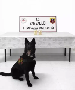 Van’da Eroinle Yakalanan İran Uyruklu Şüpheli