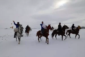 Yaban Hayvanları İçin Yem Bıraktılar