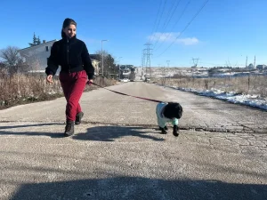 Yağmur Denli’den Hera’ya Yeni Yuva