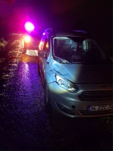 Yalova’da Araç Büyükbaş Hayvana Çarptı