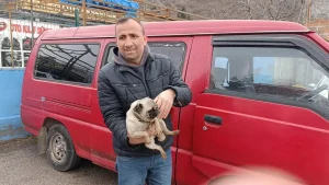 Yangında Mahsur Kalan Yavru Köpek Kurtarıldı