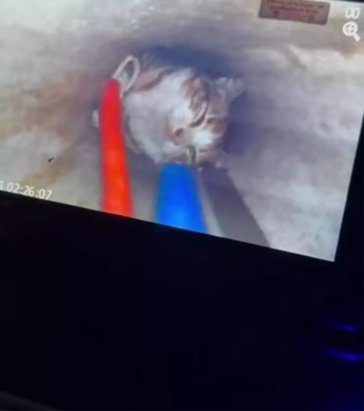 Yavru Kedi 18 Metre Derinlikten Kurtarıldı